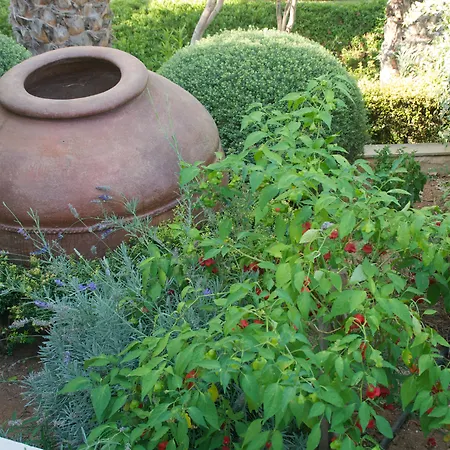 아파트호텔 Hylatio Tourist Village