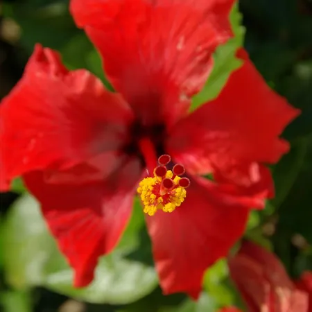 Hylatio Tourist Village 아파트호텔